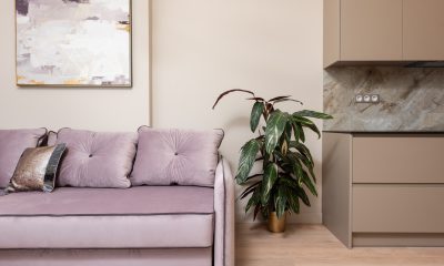 Mieszkanie zakupione z sopockiego skupu mieszkań. Na zdjęciu widać kanapę, szafę, obraz oraz roślinę w doniczce.